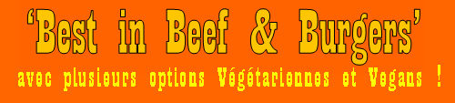 Logo Site v1