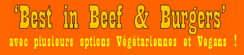 Logo Site v1