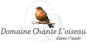 logo chante